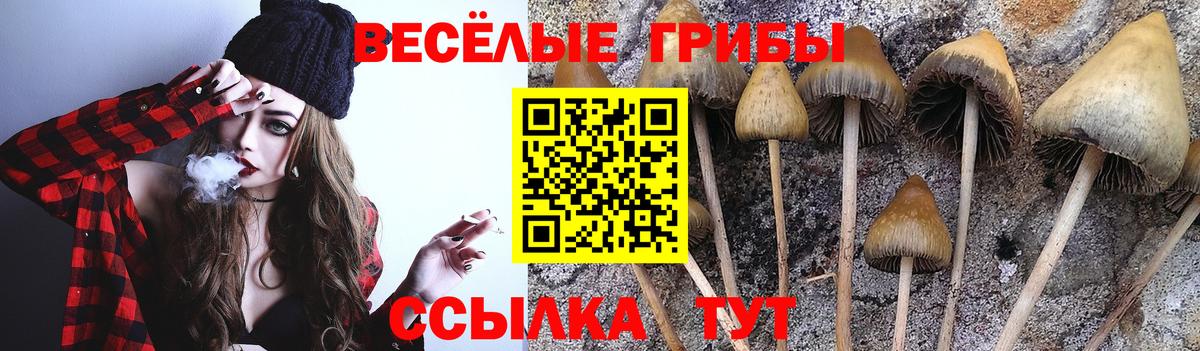 Галлюциногенные грибы мухоморы Изобильный